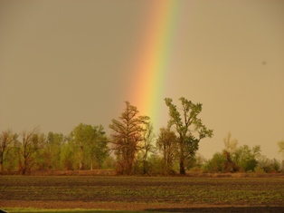 rainbow